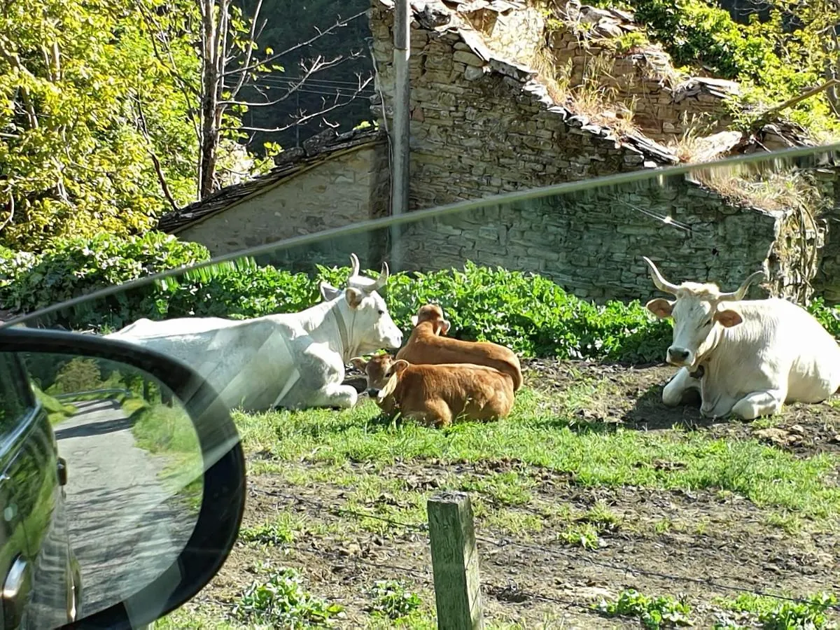 Casa Con Vista Daire Corniolo